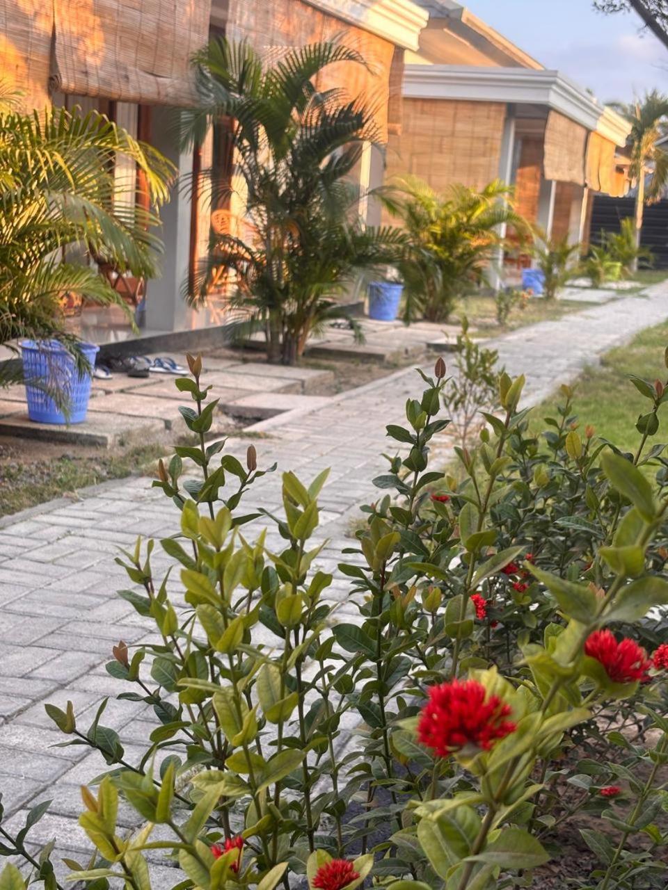 Qwank Kuta Lombok Apartment Luaran gambar